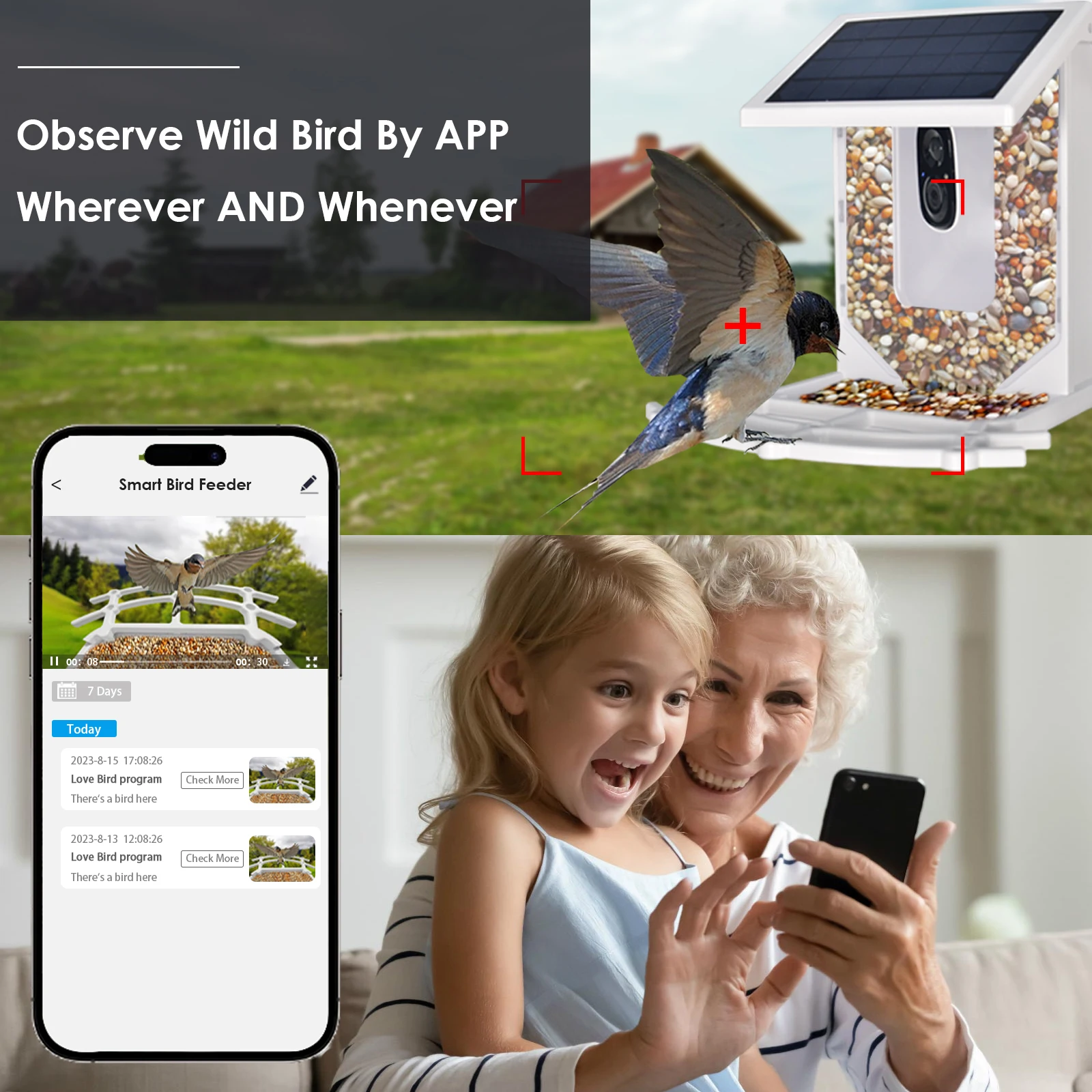 Blue Smart Bird Feeder with Camera, Outdoor Bird Feeding House 2.5L Waterproof, Solar-Powered, HD Bird Watching Camera (blue) - Image 4