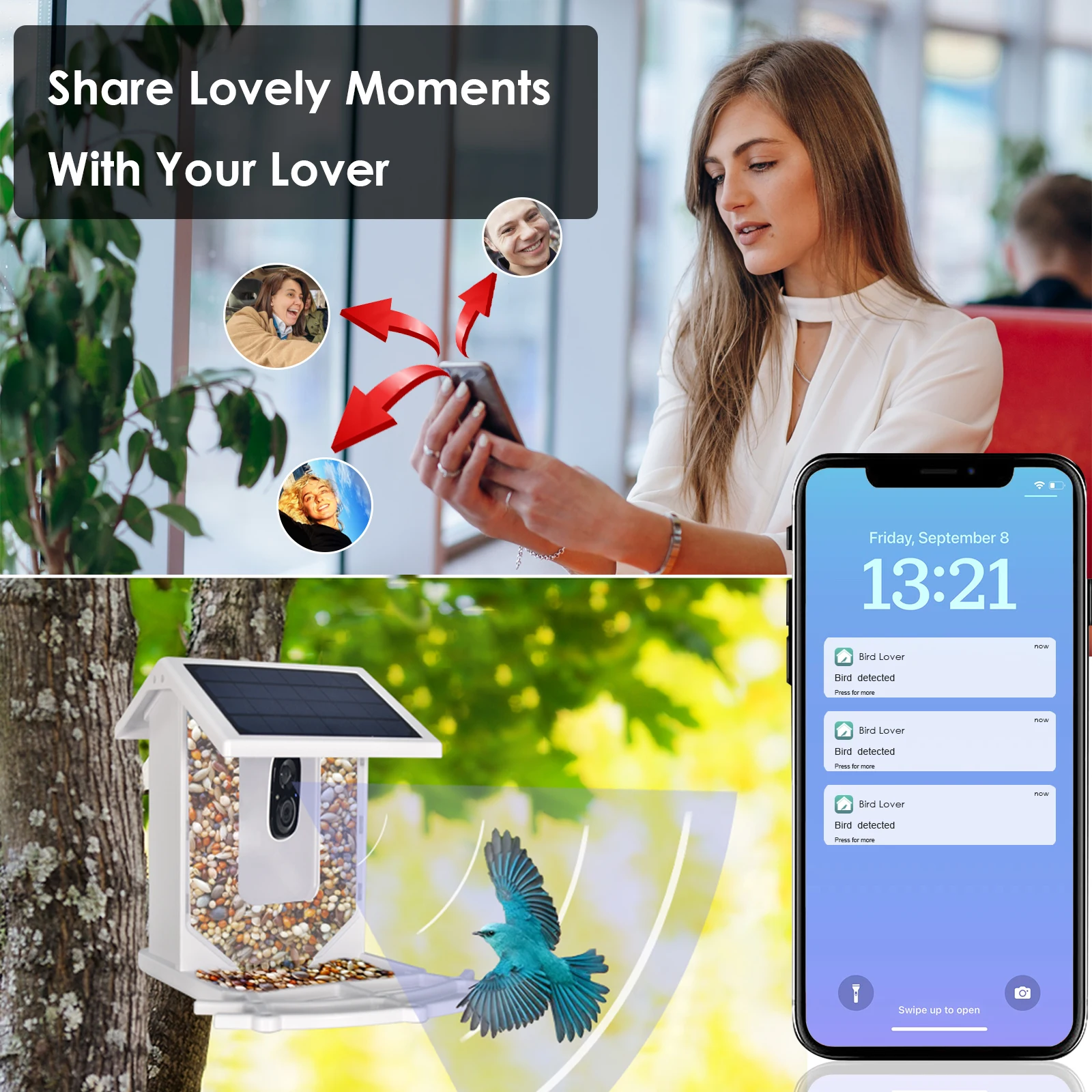 Blue Smart Bird Feeder with Camera, Outdoor Bird Feeding House 2.5L Waterproof, Solar-Powered, HD Bird Watching Camera (blue) - Image 6