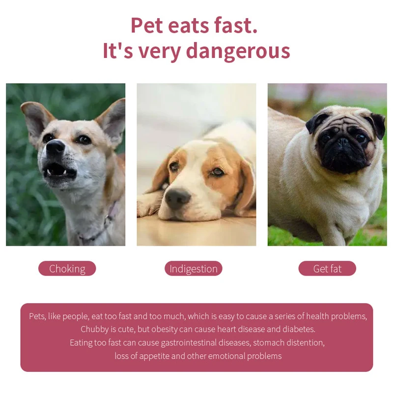Non-Slip Slow Feeder Dog Bowl Anti-Choke Anti-Tip Pet Bowl for Small Medium Dogs Home Use - Image 5