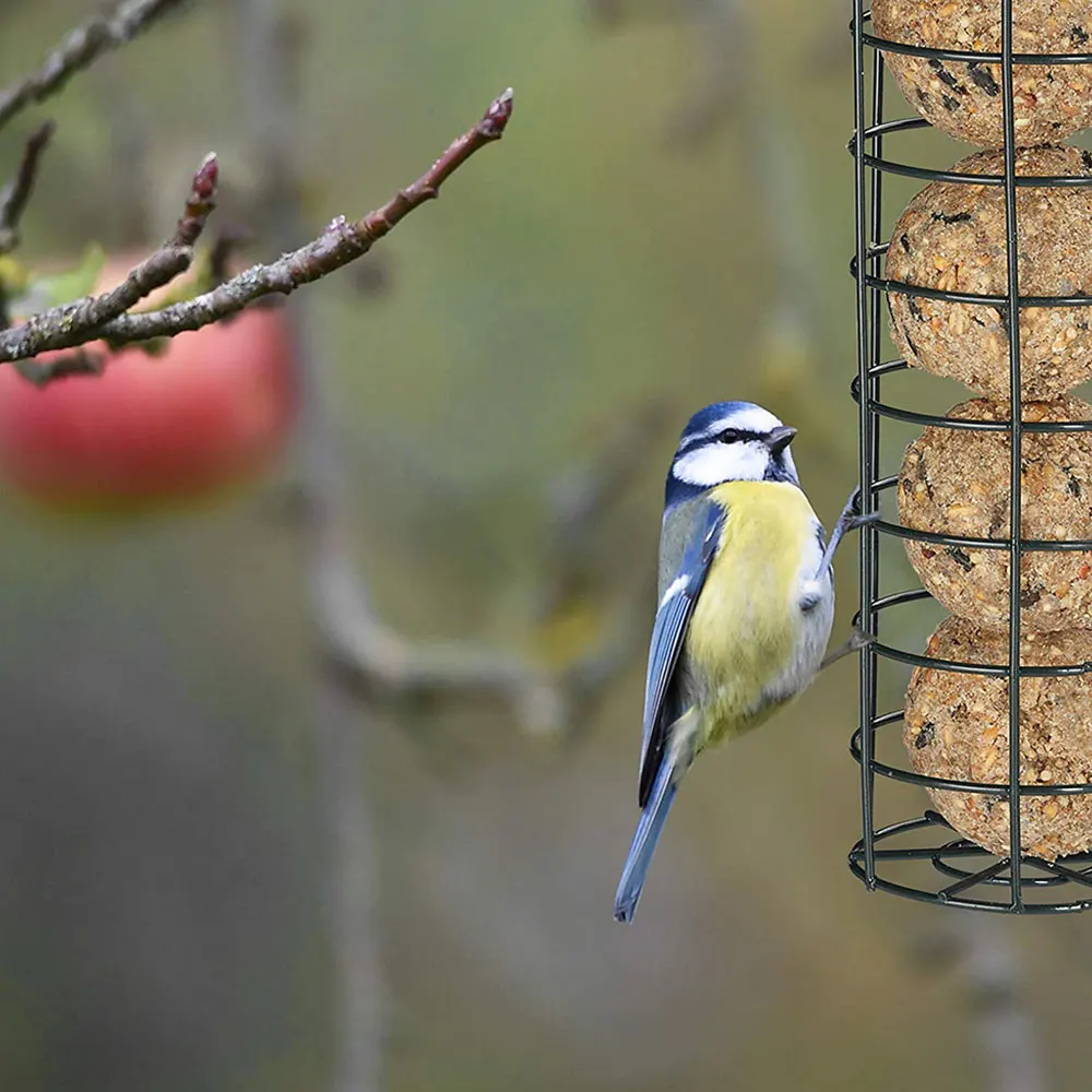 Hanging Bird Feeding Tool Garden Paddock Bird Feeder Pet Supplies Outdoor Decoration Wild Bird Seed Feeder PVC Tube Seed Feeders - Image 3