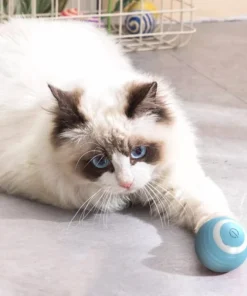 Electric Smart Ball Cat Toys Automatic Rolling Interactive Ball Usb Charge Pet Toy Cat Teasing Training Balls Chewable Cat Toys