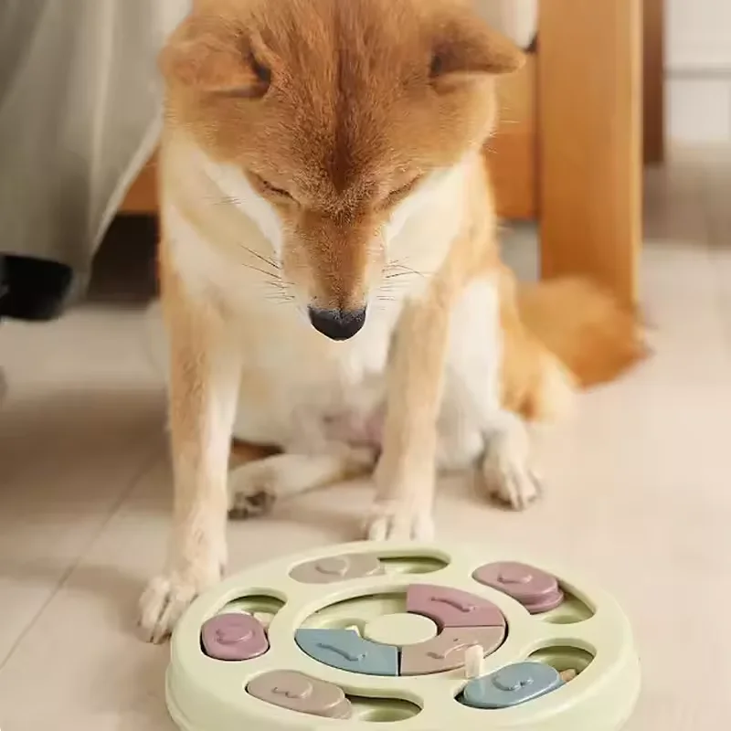 Dog educational toys, anti-choking bowl, slow feeding tray invisible food bowl non-slip dog bowl cat bowl pet fun supplies - Image 4