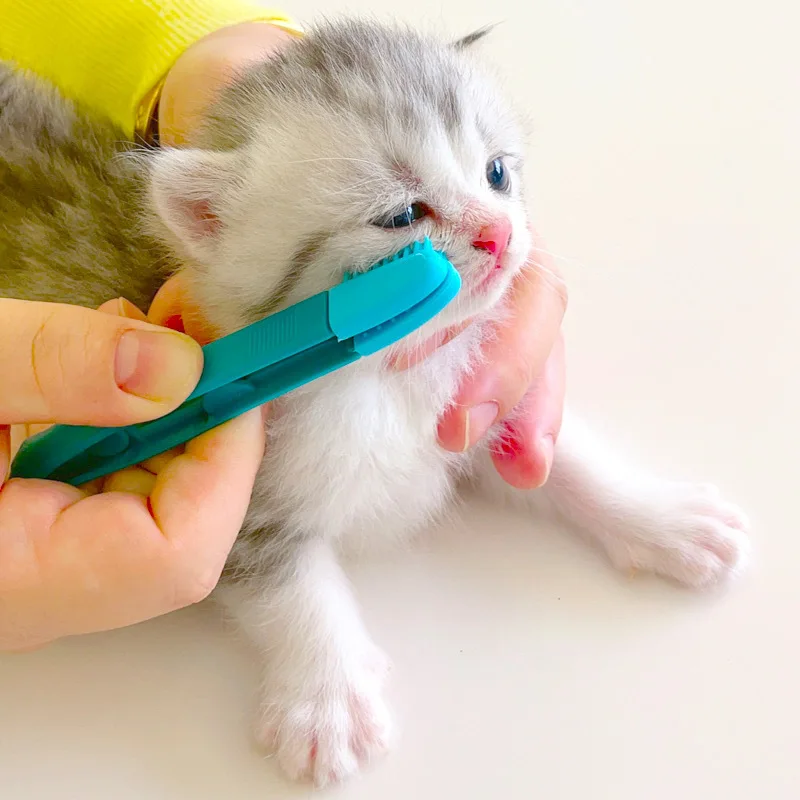 Dog Cat Cleaning Supplies Soft Pet Eye Rub Handheld Cats Tear Stains Brush Eye Care Pets Cleaning Grooming Tools Cat Accessories - Image 4