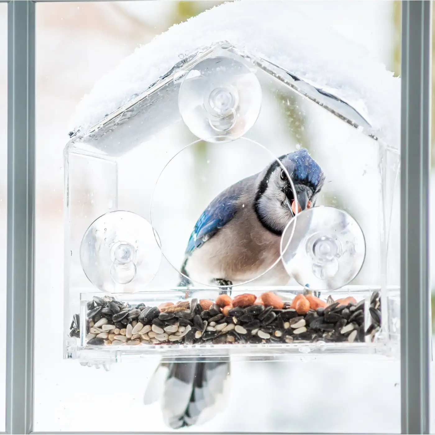 Window Bird House Feeder and 4 Extra Strong Suction Cups - Image 2