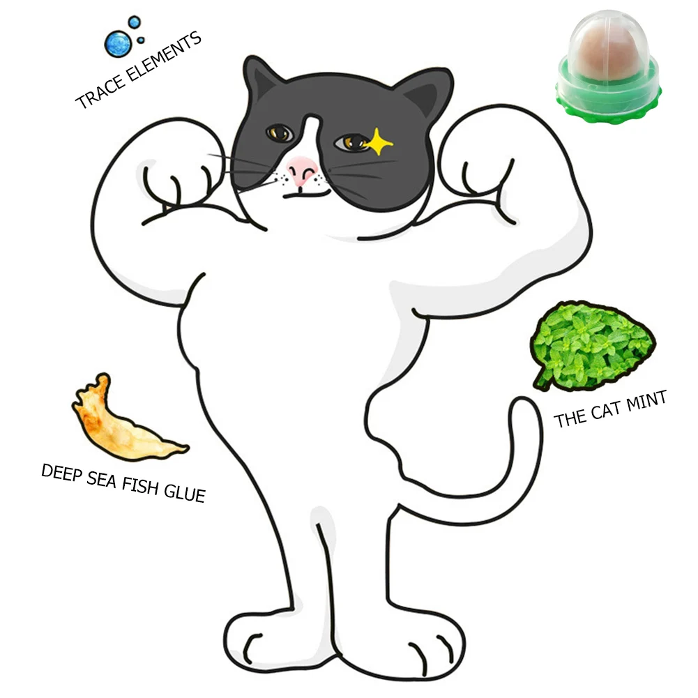 5/10Pcs Catnip Wall Ball Healthy Nutrition Cat Nip Treats Lickable Pet Catnip Cat Snacks Candy Ball Pet Supplies - Image 6