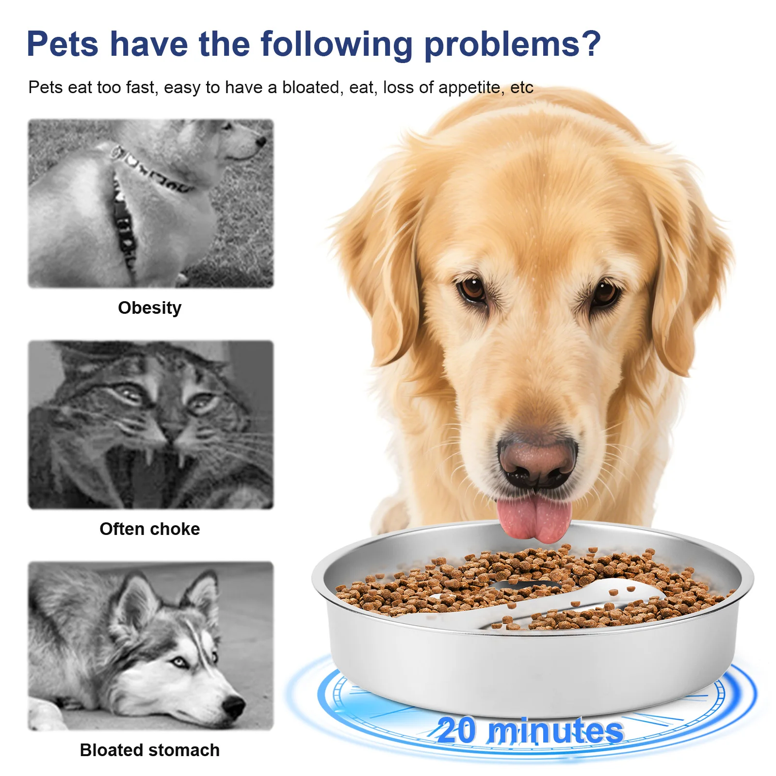 Stainless Steel Dog Bowl Pet Dog Slow Feeder with Non-Slip Mat Dog Water Bowl Anti-Choking Pet Bowl for Small & Medium Dogs - Image 5