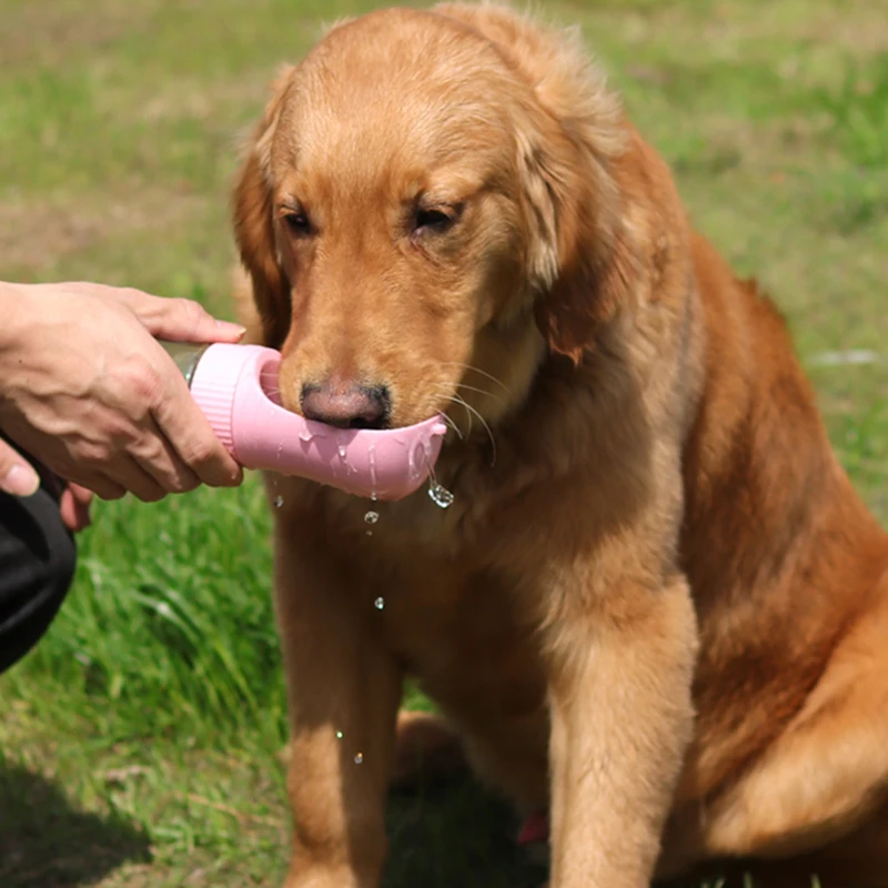 2 In 1 Portable Dog Water Bottle - Image 6