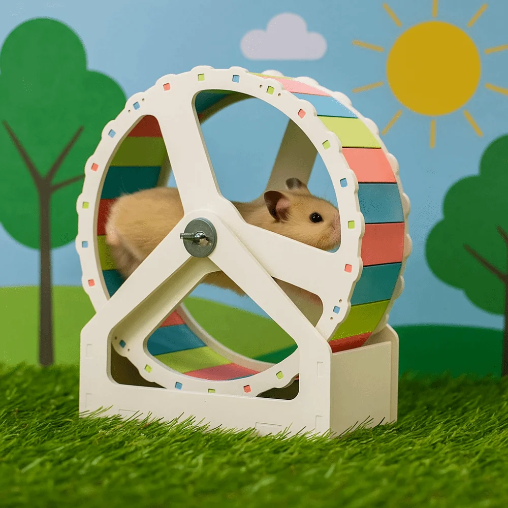Durable Plastic Hamster Running Wheel Silent Stable Base Rodent Running Wheel Colorful 21cm Exercise Wheel for Small Animals - Image 5