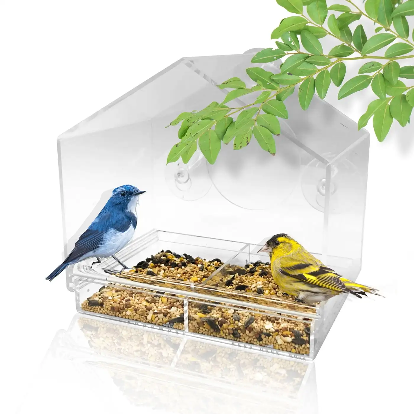 Window Bird House Feeder and 4 Extra Strong Suction Cups