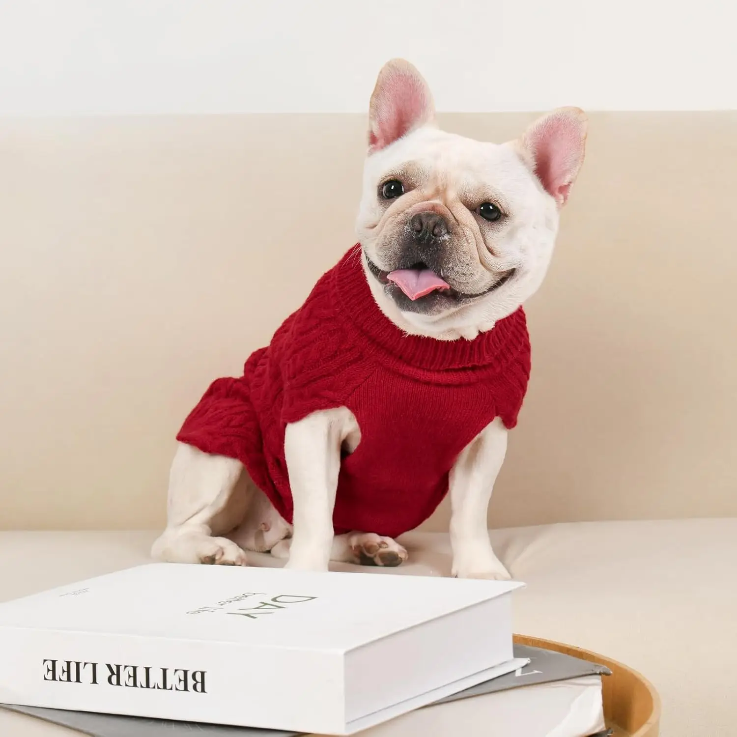 Dog Sweaters for Small Dogs, Puppy Medium Warm Clothes in Winter, Turtleneck Pullover Design for Boy Girl Pet, Doggie Cat Kitten - Image 3