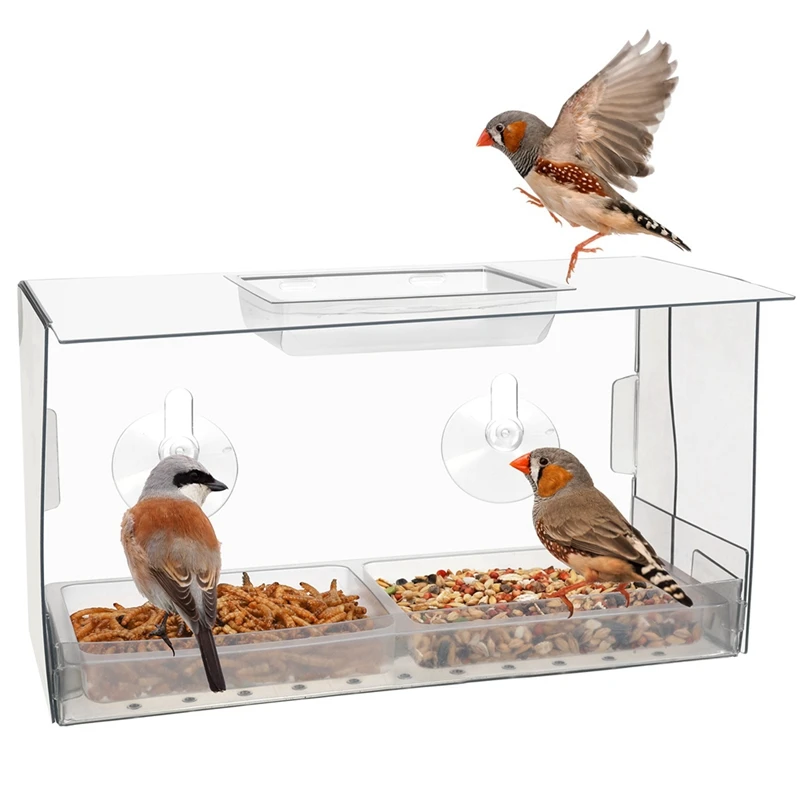 Window Bird Feeder. Birds Feed Undisturbed Whilst You Watch. Innovative Window Bird Feeders With Strong Suction Cups Durable