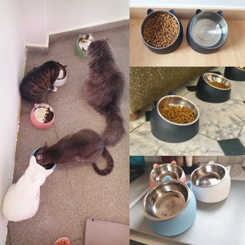 Lovely Inclined Pet Bowls - Premium Stainless Steel Non-Slip Crash-Proof Kitten Puppy Food Water Feeder for Cats Dogs Daily Use - Image 4