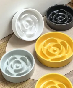 Creative Simple Solid Color Pet Bowl With Bowl Stand To Prevent Tipping Over Cat Bowl Anti-Choking Feeding Bowl Cat Water Bowl