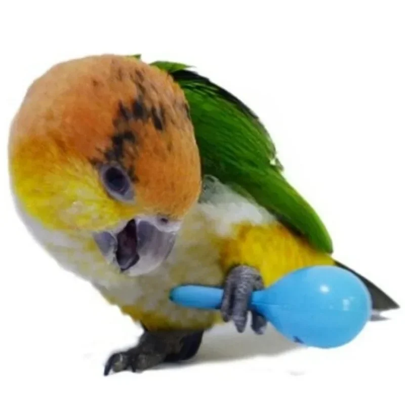 3PCS Parrot Rattle Sand Hammer Sand Ball Bird Bites Wisdom Interactive Training Toys Pet Accessories Bird Toys Juguetes - Image 2